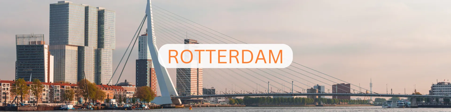 Recruit a Professional Rotterdam